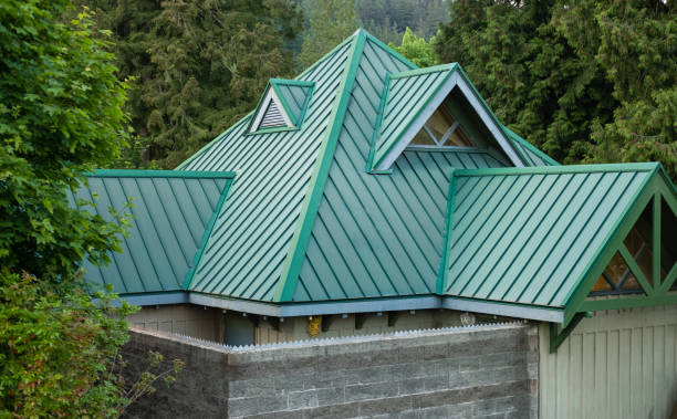 Best Roof Maintenance and Cleaning  in Stanleytown, VA